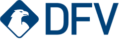 dfv Logo