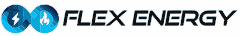 flexenergy Logo