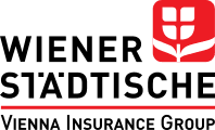 wstv Logo