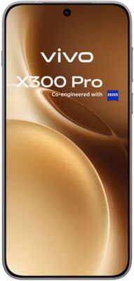 Vivo X300 Pro